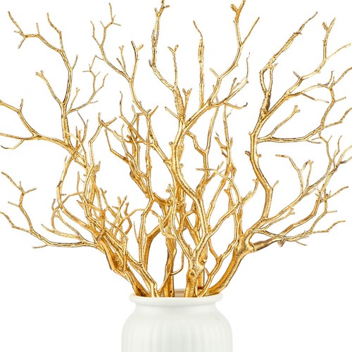 Gold manzanita branches - manzanita, 13.8