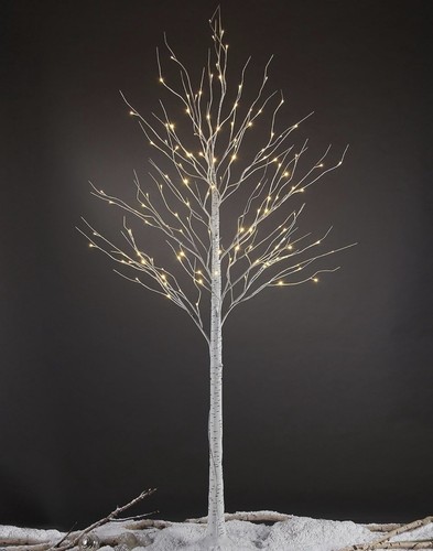 Lighted white birch - birch, 6ft