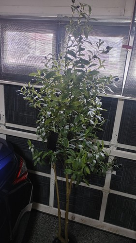 Black olive tree artificial - black,