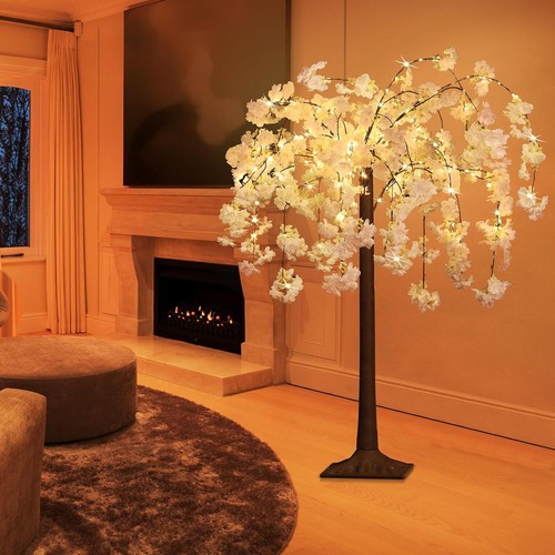 4ft cherry blossom - blossom, tree
