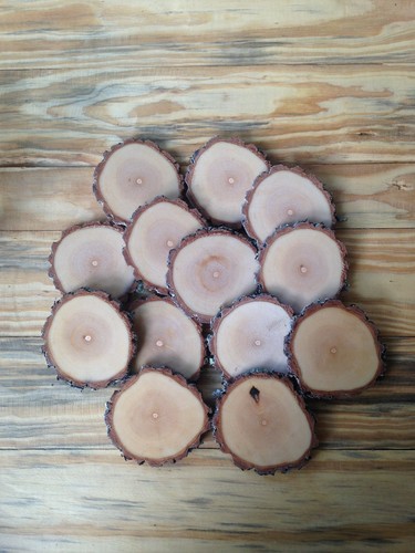 150 rustic wood - rustic, tree